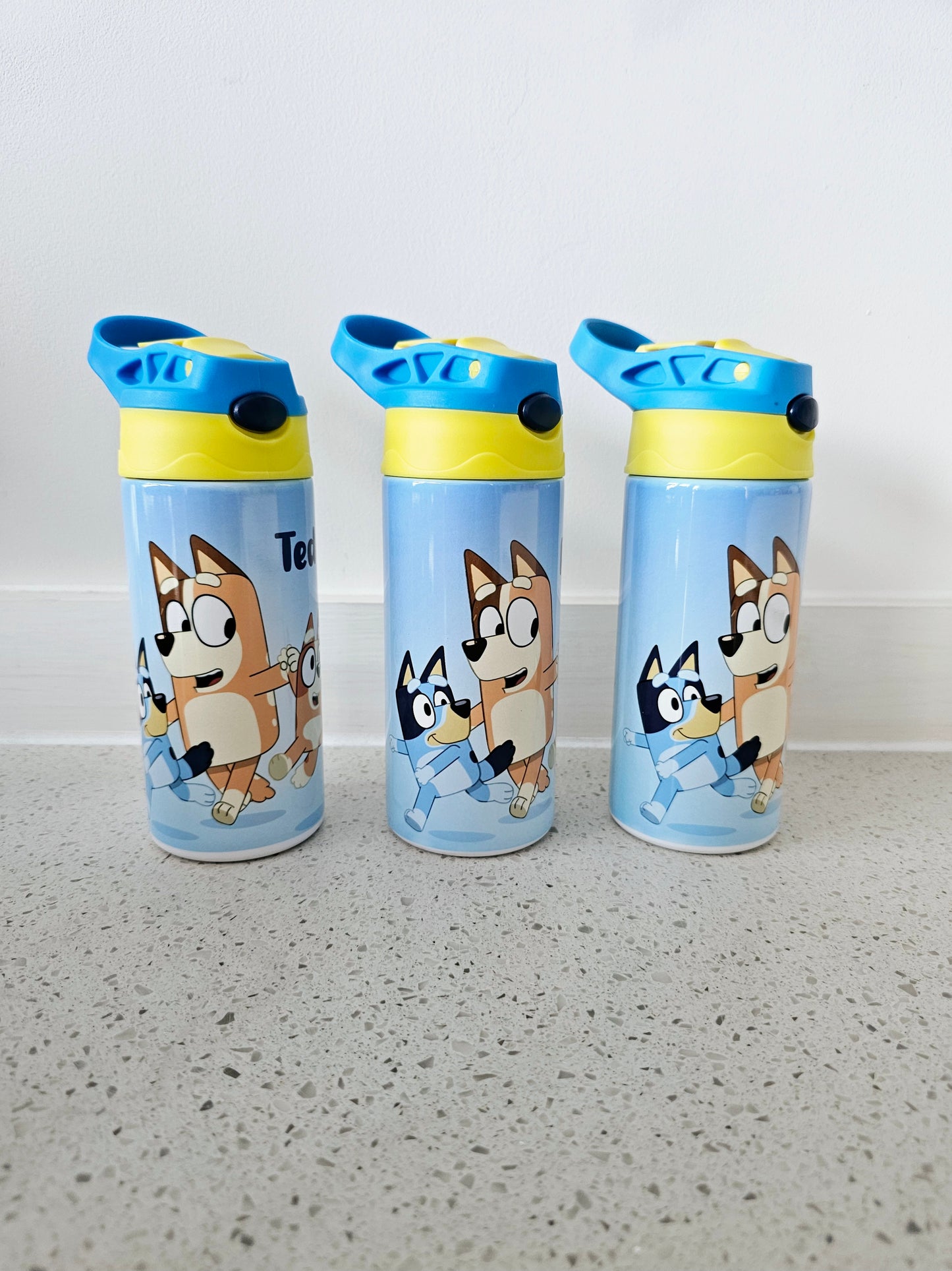 Personalised Water Bottle, Metal Kids Bottle, ALL DESIGN REQUESTS